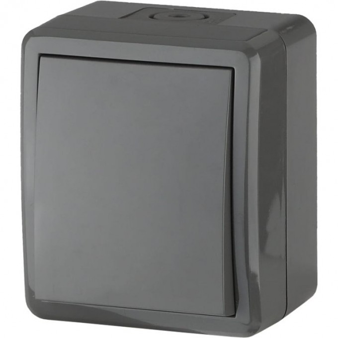 Переключатель ЭРА ЭКСПЕРТ IP54 10АХ-250В ОУ серый B0020674