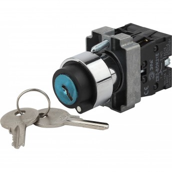 Переключатель ЭРА LAY5-BG45 2 полож. с ключом без фиксации BSW80-BG-2-K02E Б0045688