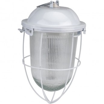 Светильник ЭРА НСП 41-200-003 с решеткой Желудь сталь стекло IP54 E27 max 200Вт 185х345 белый